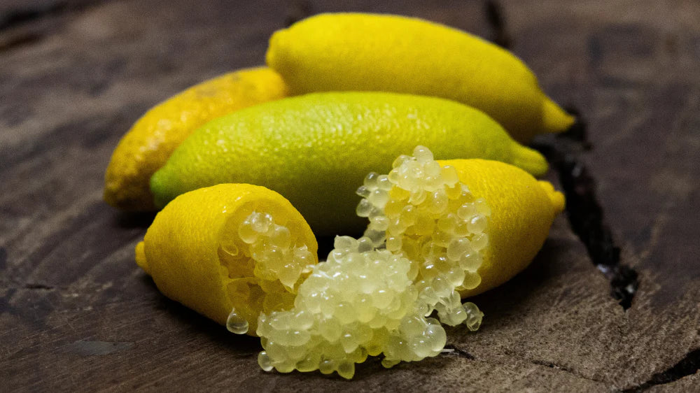Zitronenkaviar | Amarillo & Alstonville (frische Früchte)